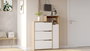 Hanah Home Armario para zapatos Ico3-Sw Roble y Blanco